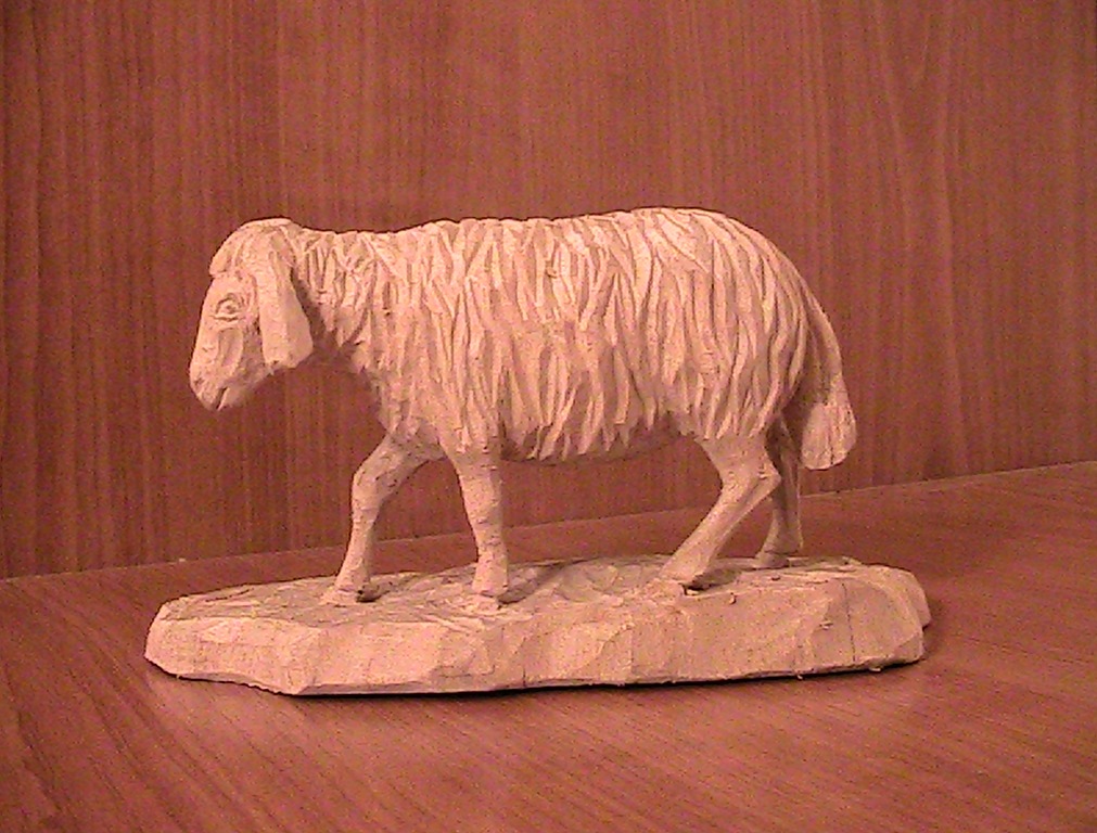ovečka 1